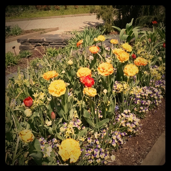 Meet your Posher, Karin - Picture 1 of 5